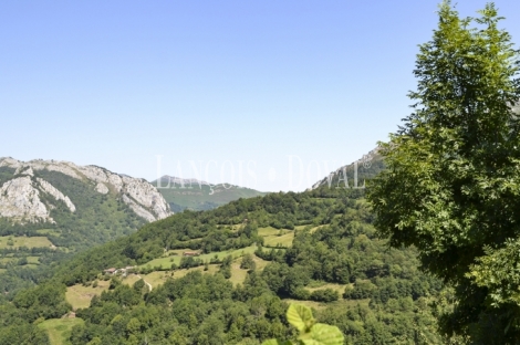 Asturias. Casa rústica en venta ideal proyecto rural. Parque natural de Redes