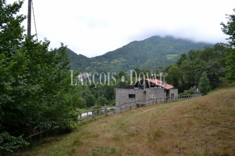 Asturias. Un hotel rural en venta. Parque Natural de Redes, Concejo de Caso.