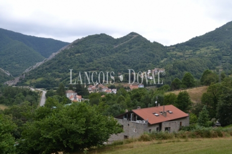 Asturias. Un hotel rural en venta. Parque Natural de Redes, Concejo de Caso.