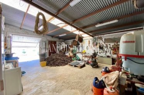 Almería. Finca olivar en venta con cortijo. Producción aceite ecológico. Turre. 