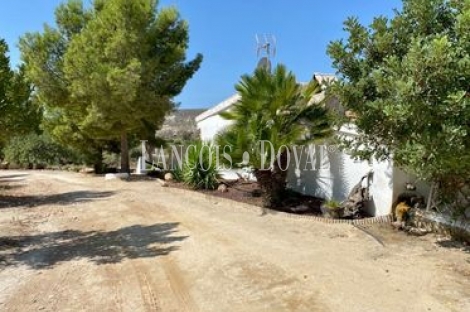 Almería. Finca olivar en venta con cortijo. Producción aceite ecológico. Turre. 