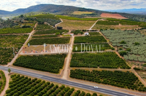 Tarragona. Venta finca agrícola y ganadera. Ideal ocio rural. 