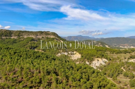 Huesca Sobrarbe. Venta finca forestal. Borda y casa a rehabilitar. 