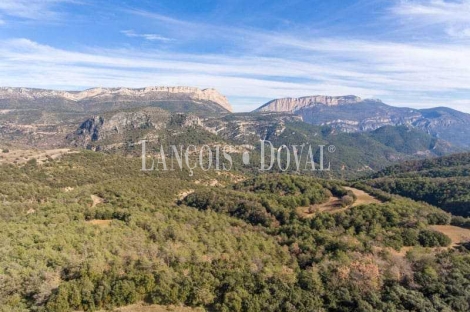 Huesca. Coto de caza mayor en venta. Finca forestal y agrícola.