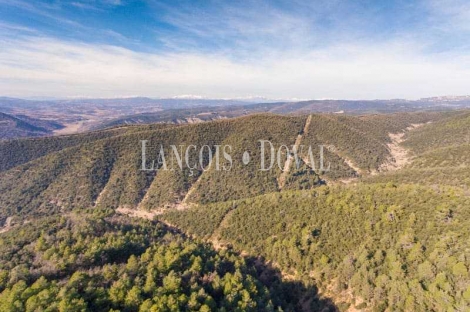 Huesca. Coto de caza mayor en venta. Finca forestal y agrícola.