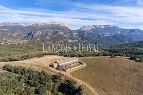 Huesca. Coto de caza mayor en venta. Finca forestal y agrícola.