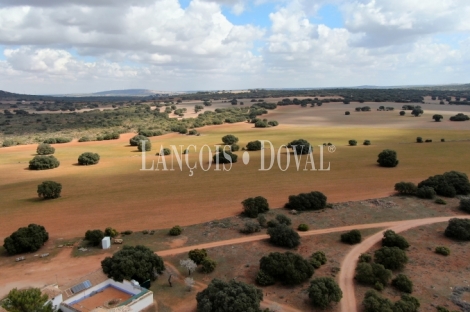 Albacete. Finca en venta. Coto de caza menor y agrícola. 