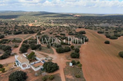 Albacete. Finca en venta. Coto de caza menor y agrícola. 