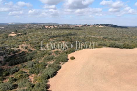 Albacete. Finca en venta. Coto de caza menor y agrícola. 