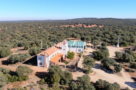 Albacete. Venta finca agrícola. Caza mayor y menor.