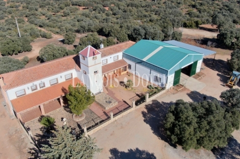 Albacete. Venta finca agrícola. Caza mayor y menor.