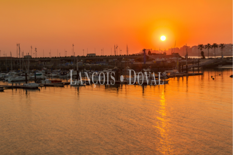 Costa de Alicante. Concesión exclusiva puerto deportivo. 200 amarres. Alta rentabilidad