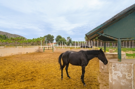 Alicante. Novelda. Venta finca ecuestre y eventos.