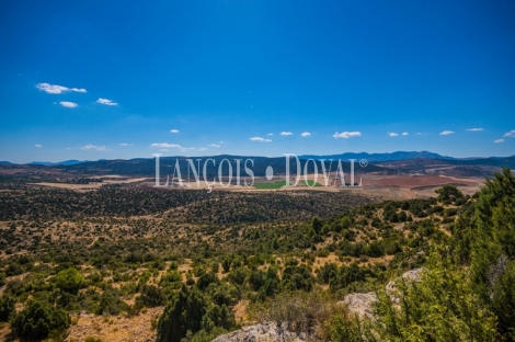 Gran coto de caza en venta. Albacete. Yeste. Finca agrícola y ganadera