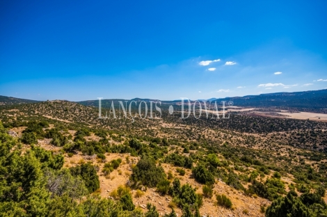 Gran coto de caza en venta. Albacete. Yeste. Finca agrícola y ganadera