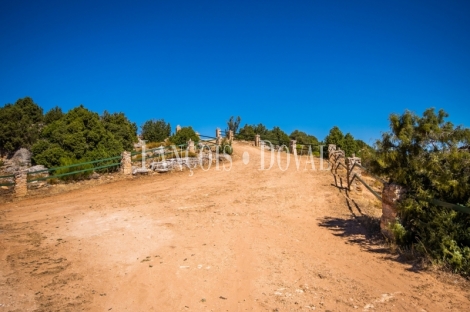 Gran coto de caza en venta. Albacete. Yeste. Finca agrícola y ganadera