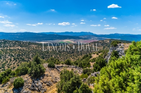 Gran coto de caza en venta. Albacete. Yeste. Finca agrícola y ganadera