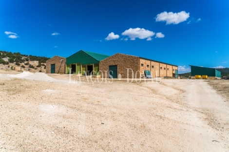 Gran coto de caza en venta. Albacete. Yeste. Finca agrícola y ganadera