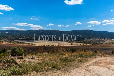 Gran coto de caza en venta. Albacete. Yeste. Finca agrícola y ganadera