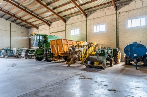 Gran coto de caza en venta. Albacete. Yeste. Finca agrícola y ganadera