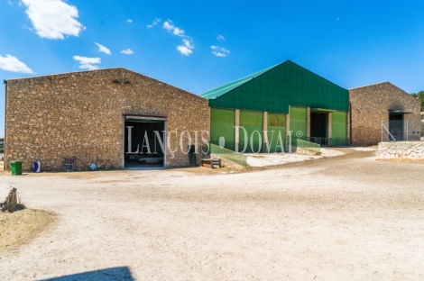 Gran coto de caza en venta. Albacete. Yeste. Finca agrícola y ganadera