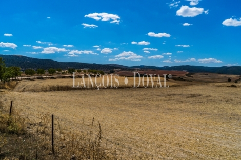 Gran coto de caza en venta. Albacete. Yeste. Finca agrícola y ganadera