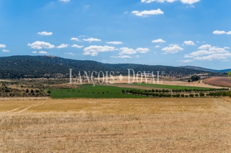 Gran coto de caza en venta. Albacete. Yeste. Finca agrícola y ganadera