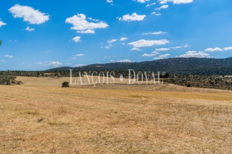 Gran coto de caza en venta. Albacete. Yeste. Finca agrícola y ganadera