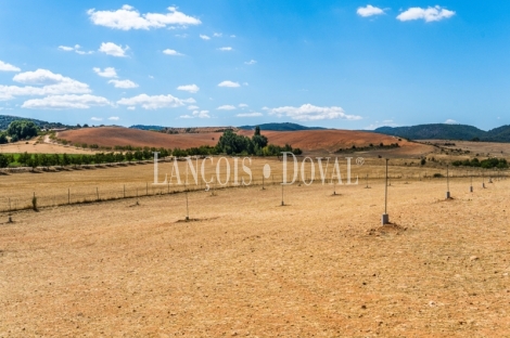 Gran coto de caza en venta. Albacete. Yeste. Finca agrícola y ganadera