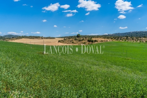 Gran coto de caza en venta. Albacete. Yeste. Finca agrícola y ganadera