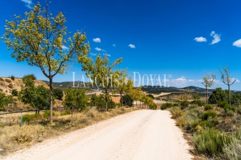 Gran coto de caza en venta. Albacete. Yeste. Finca agrícola y ganadera