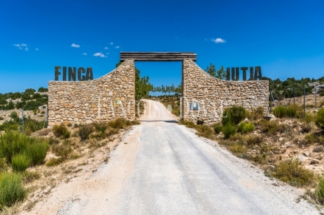 Gran coto de caza en venta. Albacete. Yeste. Finca agrícola y ganadera