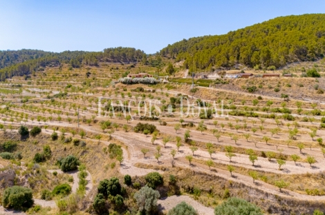 Relleu. Alicante. Finca en venta ideal hotel boutique.