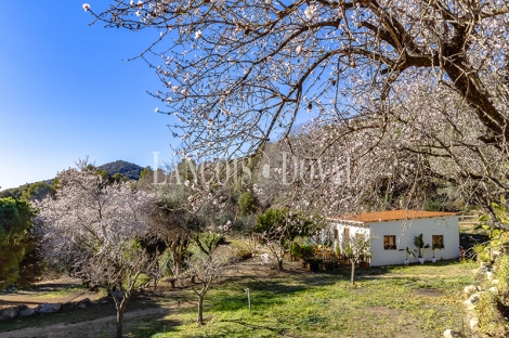 Pineda de Mar. Venta finca y masía del Siglo XV cerca de las Playas. Ideal turismo rural