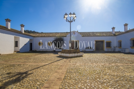 Cádiz. Exclusiva finca en venta. Coto de caza, instalaciones hípicas y plaza de toros