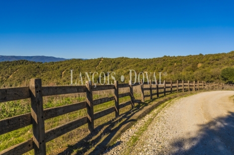 Cádiz. Exclusiva finca en venta. Coto de caza, instalaciones hípicas y plaza de toros