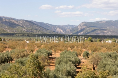 Jaén. Hacienda en venta con complejo turístico y eventos. Sierra de Cazorla.