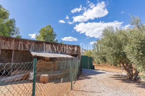 Jaén. Hacienda en venta con complejo turístico y eventos. Sierra de Cazorla.