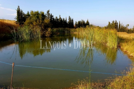 Cártama. Finca ecuestre en venta. 5 viviendas ideal alquiler vacacional