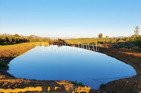 Cártama. Finca ecuestre en venta. 5 viviendas ideal alquiler vacacional