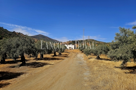 Alora. Casa Rural en venta 37.000 m2. ideal uso alquiler turístico.