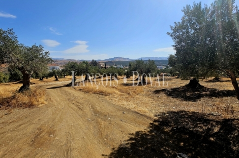 Alora. Casa Rural en venta 37.000 m2. ideal uso alquiler turístico.