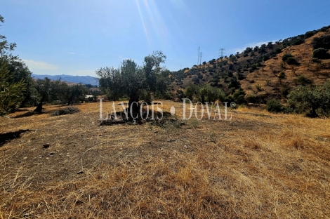 Alora. Casa Rural en venta 37.000 m2. ideal uso alquiler turístico.