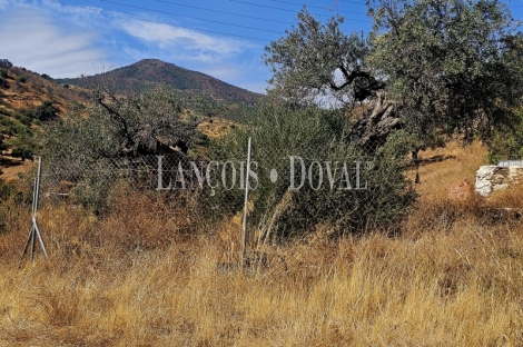 Alora. Casa Rural en venta 37.000 m2. ideal uso alquiler turístico.