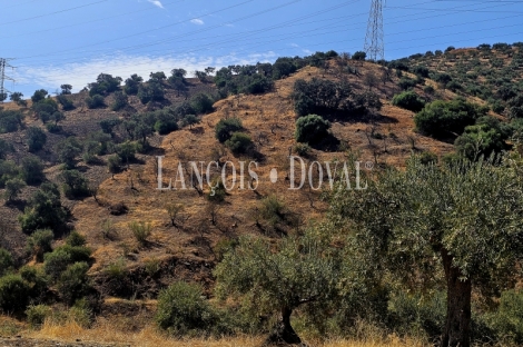 Alora. Casa Rural en venta 37.000 m2. ideal uso alquiler turístico.