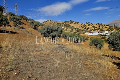 Alora. Casa Rural en venta 37.000 m2. ideal uso alquiler turístico.