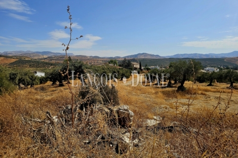 Alora. Casa Rural en venta 37.000 m2. ideal uso alquiler turístico.