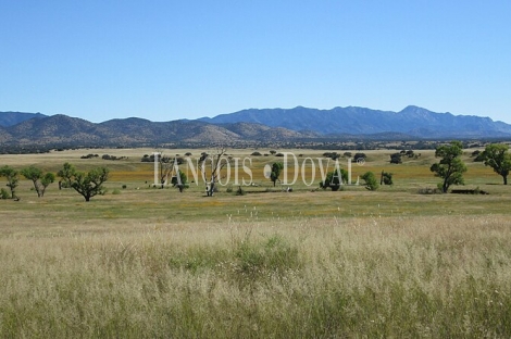 Toledo. Gran finca ecuestre en venta. 1.500 ha. Coto de caza mayor y menor