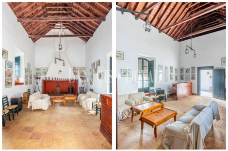 Sevilla. Hacienda olivar en venta. Posibilidad hotelera o proyecto residencial.