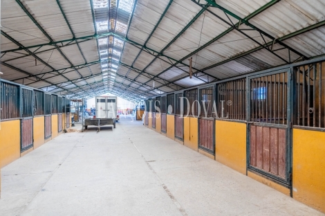 Huelva. Exclusiva Finca para eventos en Venta.